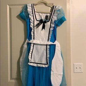 ADULT Halloween Alice in wonderland costume
